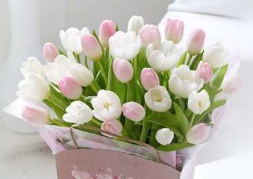 Поздравления с 8 марта – сестре, любимой женщине, девушке, подруге