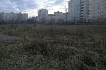 Вінничани пропонують створити майданчики для вигулу тварин в районі Поділля                    
