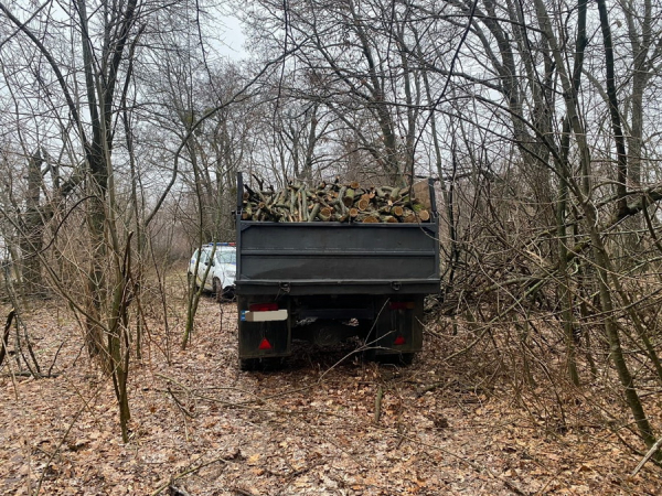 На Вінниччині працівники поліції викрили чоловіка, який здійснював незаконну порубку дерев у лісосмузі
На Вінниччині працівники поліції викрили чоловіка, який здійснював незаконну порубку дерев у лісосмузі