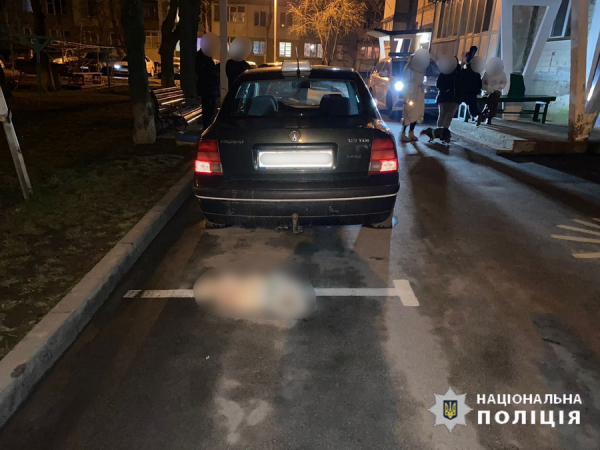 У Вінниці розслідують загибель собаки. Ймовірно, тварину могли викинути з вікна багатоповерхівки                     
