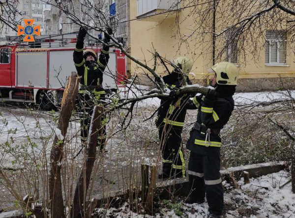 На Вінниччині снігопад повалив дерева, які перекрили рух, пошкодили авто і лінії електропередач
На Вінниччині снігопад повалив дерева, які перекрили рух, пошкодили авто і лінії електропередач