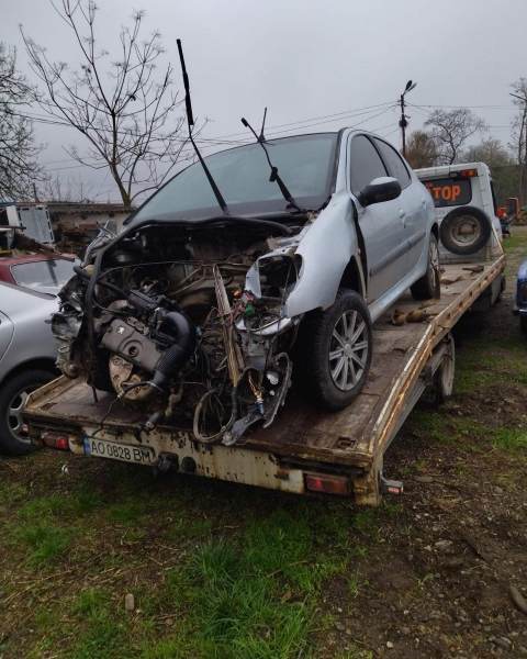 ДТП поблизу Виноградова: Внаслідок зіткнення двох автівок постраждала жінка (ФОТО)