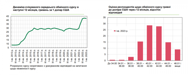 
Бізнес чекає долар по 42 грн і зростання іноземних інвестицій &mdash; квартальне опитування НБУ 