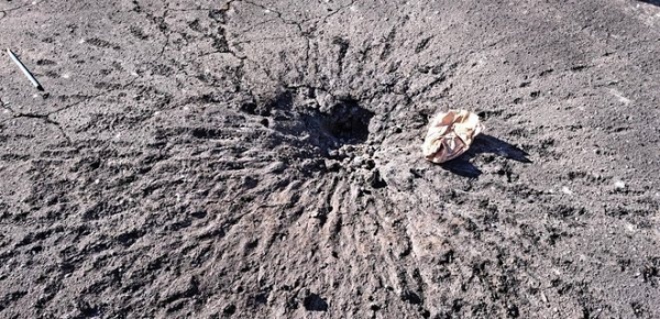 
Росіяни обстріляли суднобудівний завод в Херсоні й зерновий термінал в Бериславському районі 