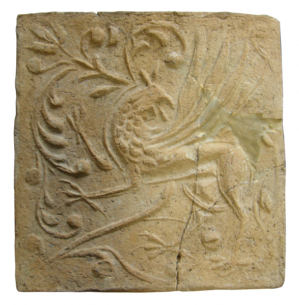 У підземеллі хочуть відкрити кімнату з золотом. Таємниці вінницького музею                    
