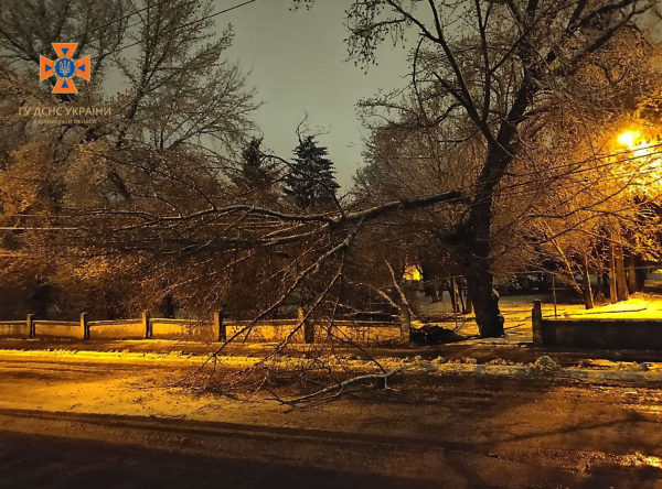 На Вінниччині снігопад повалив дерева, які перекрили рух, пошкодили авто і лінії електропередач
На Вінниччині снігопад повалив дерева, які перекрили рух, пошкодили авто і лінії електропередач