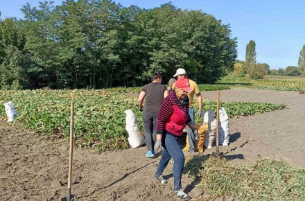 Переселенцям, які переїхали на Вінниччину, безкоштовно роздадуть городній інвентар та насіння овочів                    
