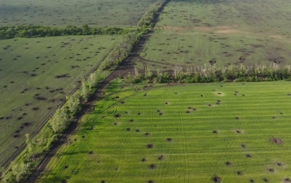 У Кабміні оцінили зниження аграрного виробництва У Кабміні оцінили зниження аграрного виробництва