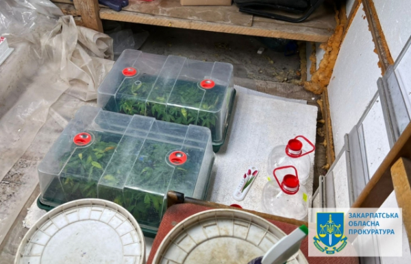 В Ужгороді правоохоронці викрили підпільну нарколабораторію з товаром на кілька мільйонів (ФОТО, ВІДЕО)