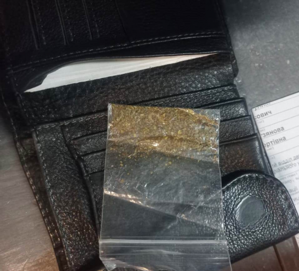  На українсько-словацькому кордоні службовий пес митника “винюхав” у росіянина марихуану 