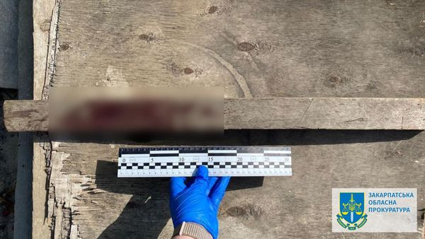 Понад 7 років за ґратами за умисні вбивства: на Ужгородщині засудили двох осіб   Понад 7 років за ґратами за умисні вбивства: на Ужгородщині засудили двох осіб