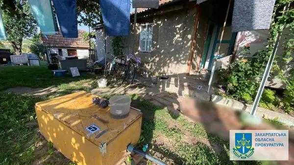 Понад 7 років за ґратами за умисні вбивства: на Ужгородщині засудили двох осіб   Понад 7 років за ґратами за умисні вбивства: на Ужгородщині засудили двох осіб