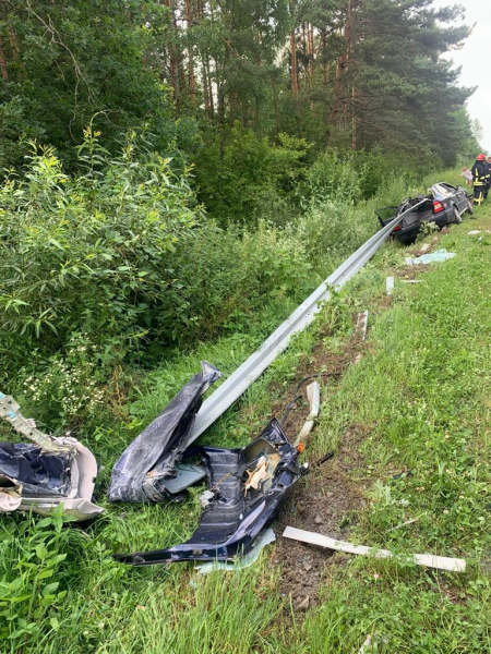 Відбійник прошив авто наскрізь: Моторошна ДТП забрала життя 10-ріного хлопця