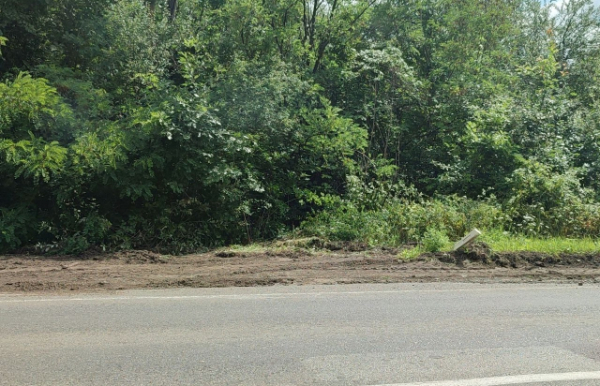 За день до візиту Зеленського на Закарпатті в авральному порядку чистили узбіччя доріг (ФОТО) За день до візиту Зеленського на Закарпатті в авральному порядку чистили узбіччя доріг (ФОТО)