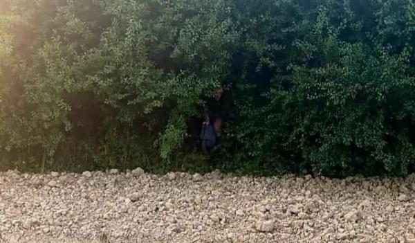  На кордоні закарпатські прикордонники затримали п&rsquo;ять десятків порушників 