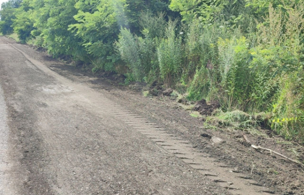 За день до візиту Зеленського на Закарпатті в авральному порядку чистили узбіччя доріг (ФОТО) За день до візиту Зеленського на Закарпатті в авральному порядку чистили узбіччя доріг (ФОТО)