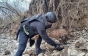 Небезпека поряд: На Закарпатті виявили дві авіаційні бомби