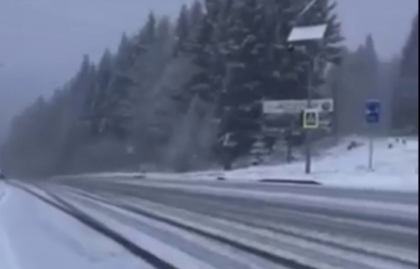 На гірських перевалах Карпат засніжило