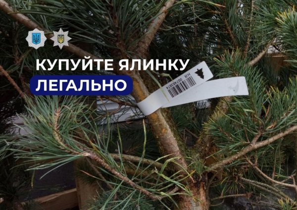  Правоохоронці закликають купувати ялинки лише на офіційних ярмарках 