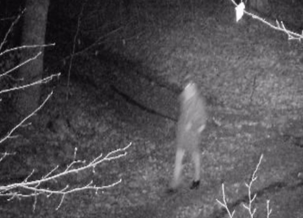 На Закарпатті поблизу кордону зі Словаччиною затримали росіянина