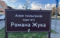 Волонтери прибирають алею тюльпанів, висаджену в пам'ять про полеглого на війні мукачівця Романа Жука (ФОТО, ВІДЕО)