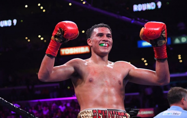 Батько Бенавідеса розповів, навіщо його сину бій з Гвоздиком Батько Бенавідеса розповів, навіщо його сину бій з Гвоздиком