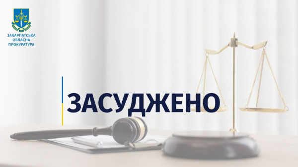  Стріляв у авто з місцевими жителями через конфлікт:на Рахівщині чоловіка засудили за хуліганство 
