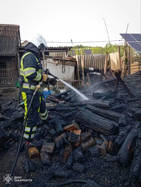 На Берегівщині рятувальники ліквідували пожежу на приватному обійсті 