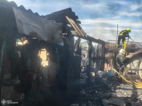  Почалася димитися крівля над будівлею: на Хустщині рятувальники вберегли дві оселі 