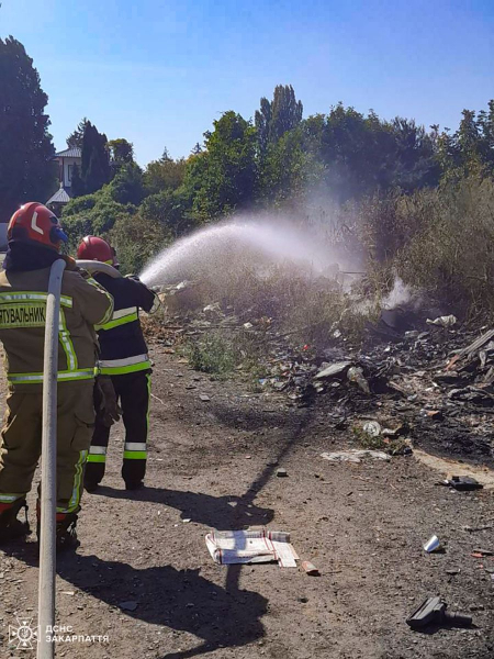  За останні 24 години рятувальники 21 раз залучались до гасіння сухої трави та сміття 