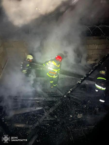  4 одиниці техніки та 11 бійців ДСНС вночі гасили пожежу на Хустщині 