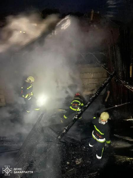  4 одиниці техніки та 11 бійців ДСНС вночі гасили пожежу на Хустщині 