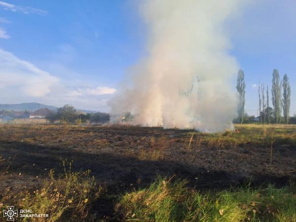  За останні 24 години рятувальники 21 раз залучались до гасіння сухої трави та сміття 