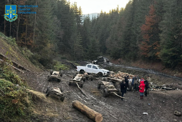  Незаконна рубка в Карпатах із мільйонними збитками та перешкоджання поліції: викрито масштабну незаконну схему «чорних лісорубів» 