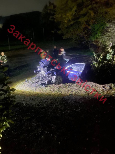  Автівка зіткнулася з деревом: на Мукачівщині трапилася смертельна ДТП 