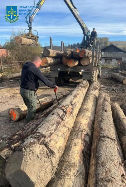  Незаконна рубка в Карпатах із мільйонними збитками та перешкоджання поліції: викрито масштабну незаконну схему «чорних лісорубів» 