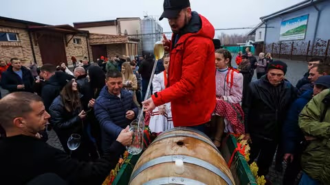  На Закарпатті відкриють першу бочку молодого вина у День святого Мартина 