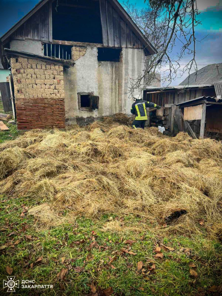  Вогнеборці та місцеві жителі села Тур'я Бистра разом ліквідували пожежу та запобігли знищенню житлового будинку 