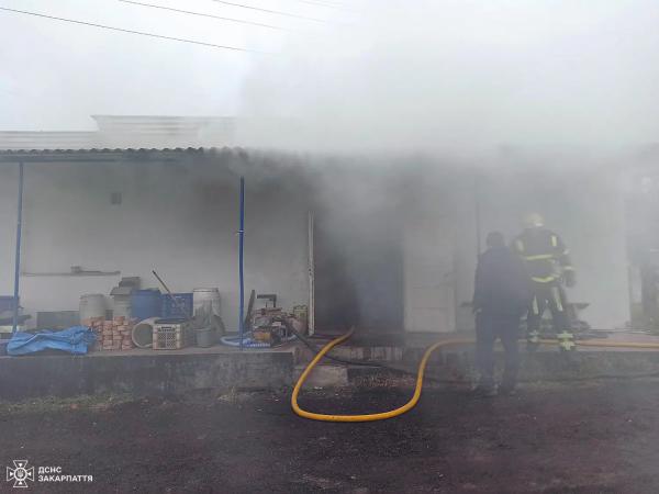  У Залужжі рятувальники ліквідували пожежу в цеху для копчення риби 