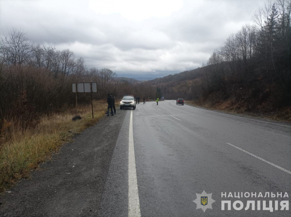  У селищі Воловець трапилася смертельна ДТП: поліція Закарпаття розшукала зловмисника, який втік за межі області 