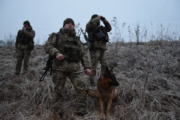  У ПП «Тиса» затримали колумбійця, який намагався сховатися в Україні 