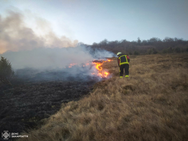  Під час пожежі сухостою на Хустщині травмувався 60-річний чоловік 