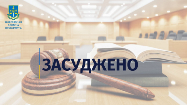  Понад 7 років ув’язнення отримав житель Берегівщини, якого вкотре викрили на незаконному переправленні військовозобов’язаних 