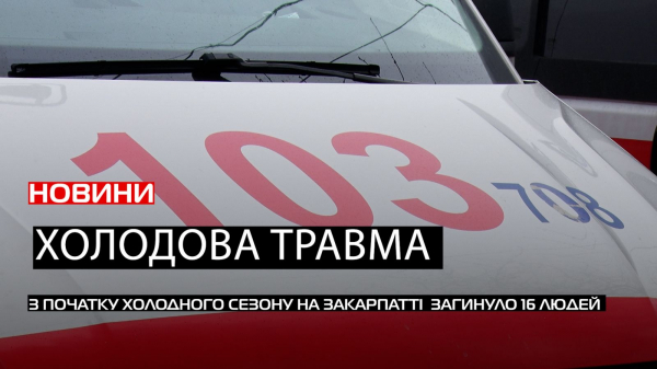  На Закарпатті зафіксували 34 випадки переохолодження: як вберегтися від холодової травми (ВІДЕО) 