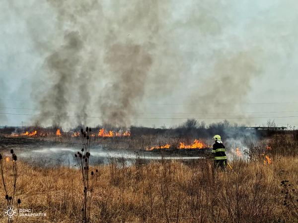  За добу рятувальники 8 разів вирушали гасили пожежі на відкритій території 