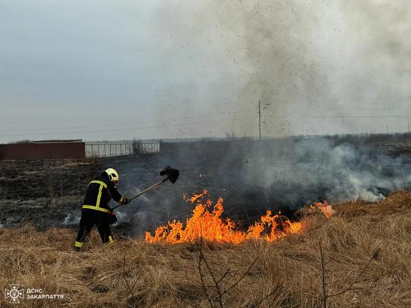  За добу рятувальники 8 разів вирушали гасили пожежі на відкритій території 