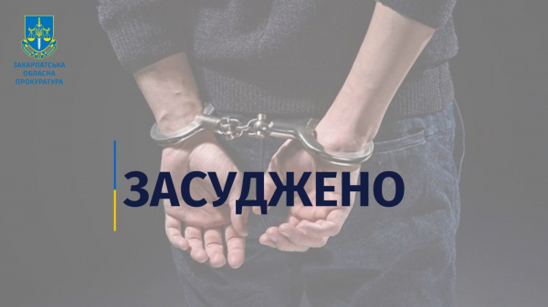  8 років ув’язнення та конфіскація майна – вирок селищному депутату за напад і незаконне утримання у підвалі групи іноземців 