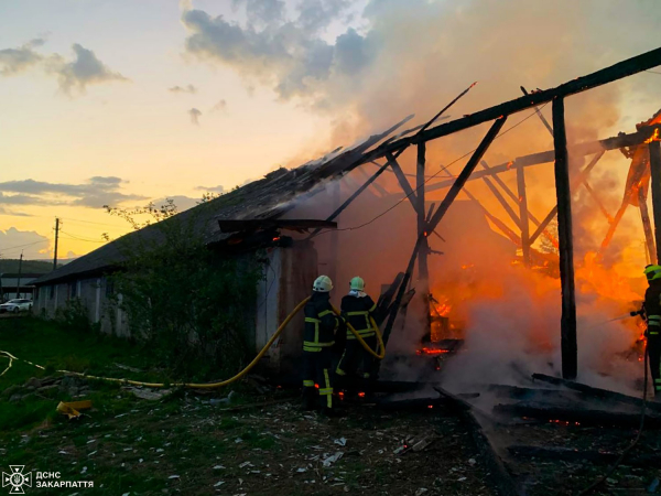  У селі Горінчово Хустського району виникла пожежа в господарській споруді 