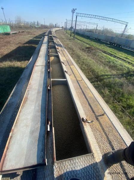  Закарпатські митники виявили незаконний експорт 160 тонн агропродукції за фіктивними документами 