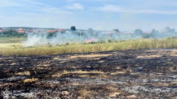  Вчора на Закарпатті пожежі знищили понад 7 га сухої трави та чагарників 
